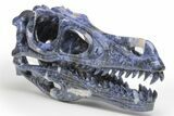 Carved Sodalite Dinosaur Skull - Roar! #218506-3